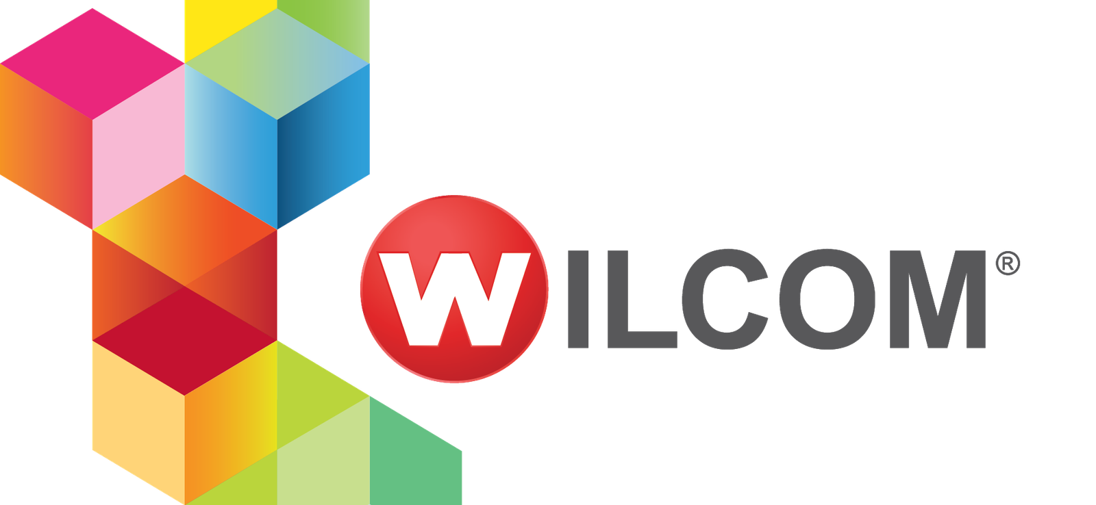 Digitalización de Bordado